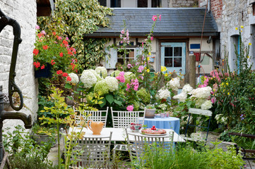 Cozy vintage backyard full of beautiful flowers
