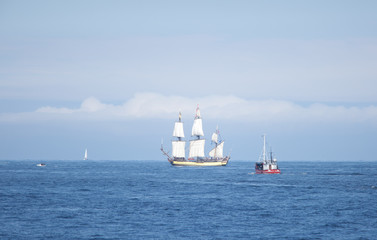 Hanse Sail