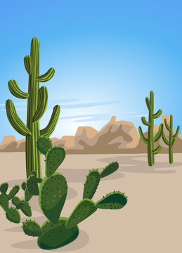 Cactus and Desert