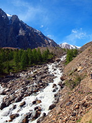 Fototapeta na wymiar River heads Aktru, mountain Altai