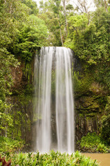 Fototapeta na wymiar Millaa Millaa Falls in Queensland, Australia
