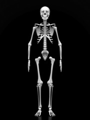 image of a white, a human skeleton on a black background