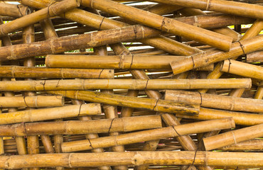 Bamboo background
