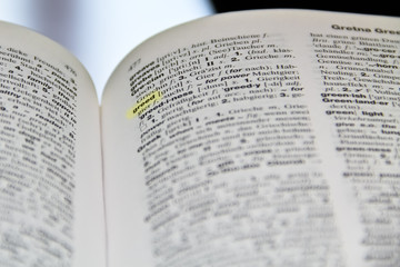 Obraz premium Greed in the dictionary