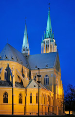 Katedra nocą, Łódź - obrazy, fototapety, plakaty