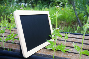 blackboard