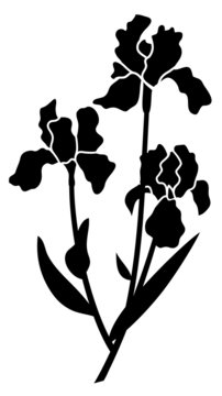 black iris flowers silhouette on white clip art preview