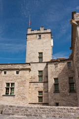 Fototapeta na wymiar barroux Castle