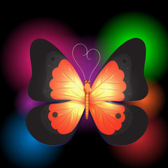 Butterfly on the black with lights