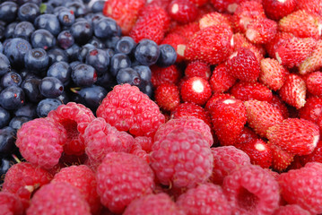 Wood berries