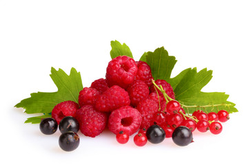 fresh raspberries, blackcurrant,  and leaves isolated on white