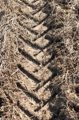 Dirt with a vehicle track running through it