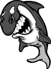 Obraz premium Killer Whale Mascot Cartoon