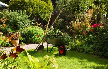 Fotobehang Werken met kruiwagen in de tuin © Colette