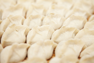 Fototapeta na wymiar dumpling
