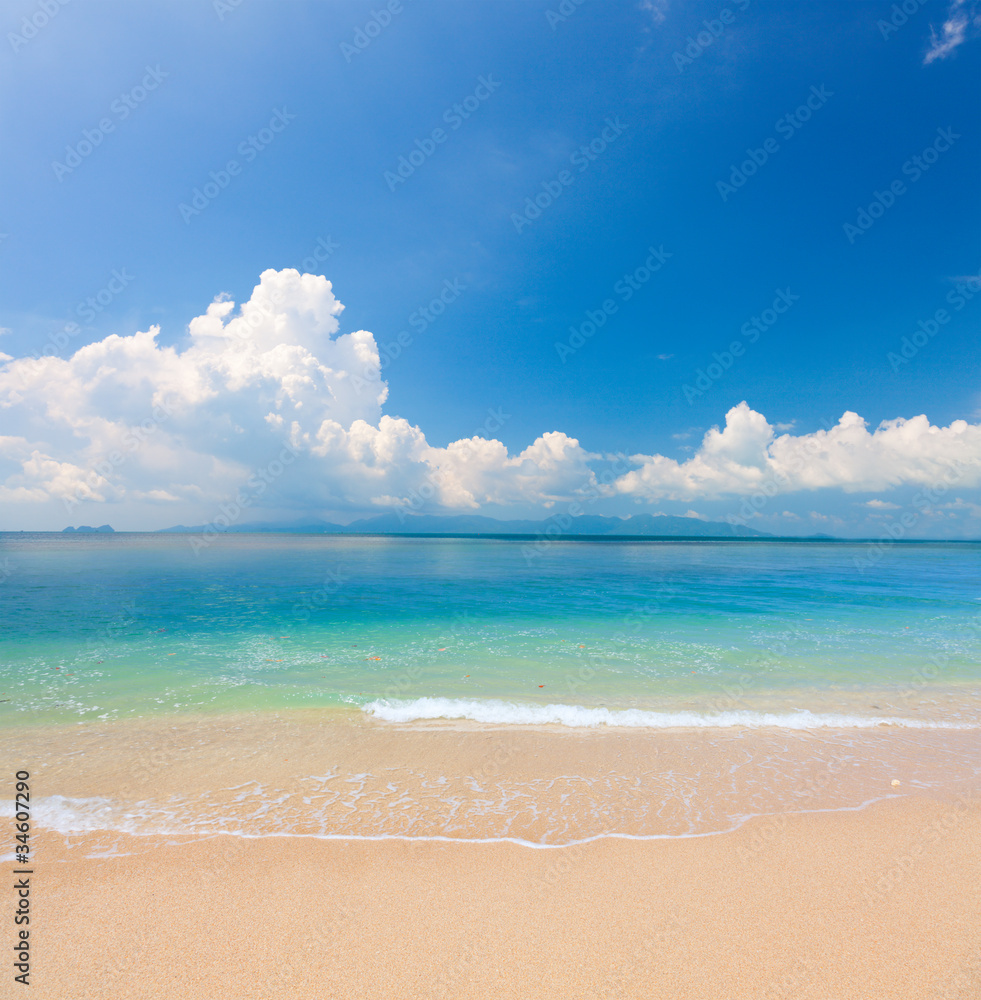 Wall mural beach and tropical sea