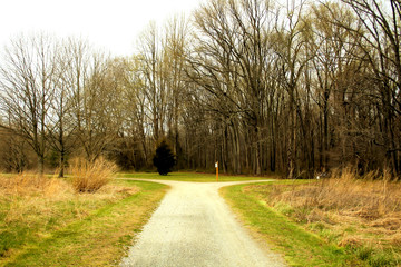 Country road in rural area.