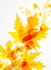 Naklejka na ściany i meble Abstract autumn vector background with leaves