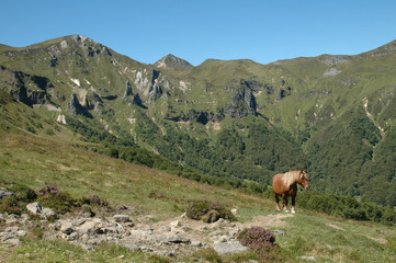 crêtes de la vallée de Chaudefour et cheval