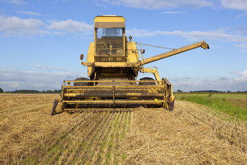 Fototapeta premium old yellow harvester 2
