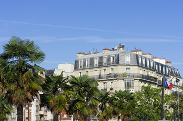 Paris, palmiers et  immeuble porte dor&eacute;e