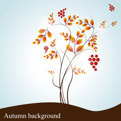 Fototapeta premium Autumn background
