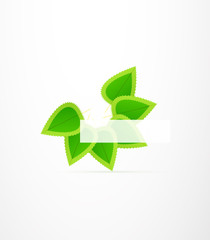 Vector leaf concept. Nature abstract symbol