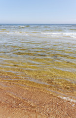 Sea.