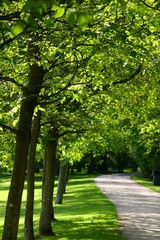 chemin