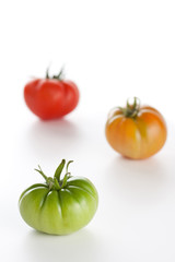 Three fresh tomatoes (red, orange and green)