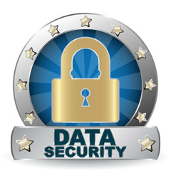 DATA SECURITY ICON