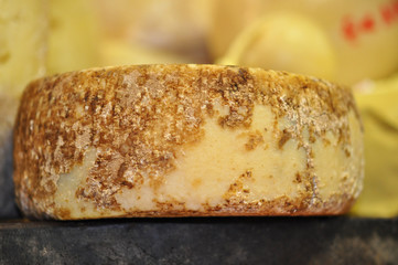 Käse aus Italien