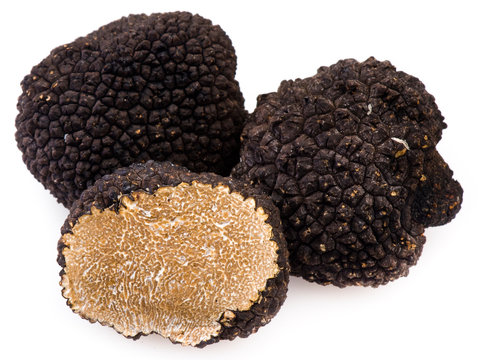Black truffles on a white background
