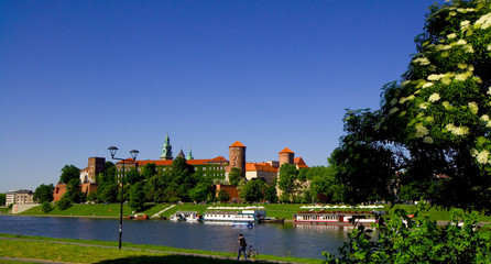 Obraz premium Wawel - Krakau - Polen
