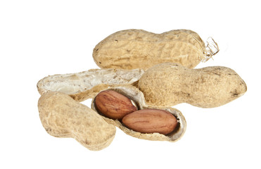 offene und geschlossene Erdnüsse