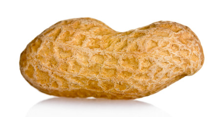 Peanut isolated on white