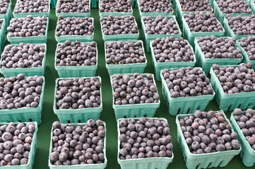 BLueberries on display