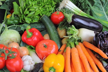 Arrangement von Gemüse vegetarisch