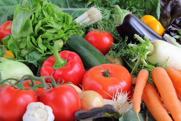 Arrangement von Gemüse vegetarisch