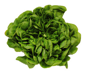 Vegetarisch - Grüner Kopfsalat von oben