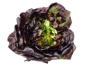 Vegetarisch - Bunter Kopfsalat von oben