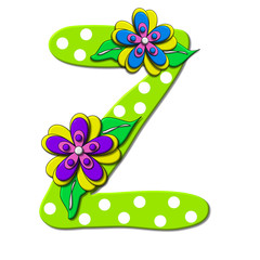 Bright Floral Z