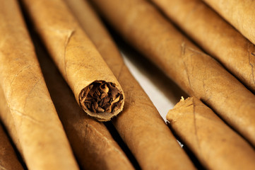 Heap of cigars