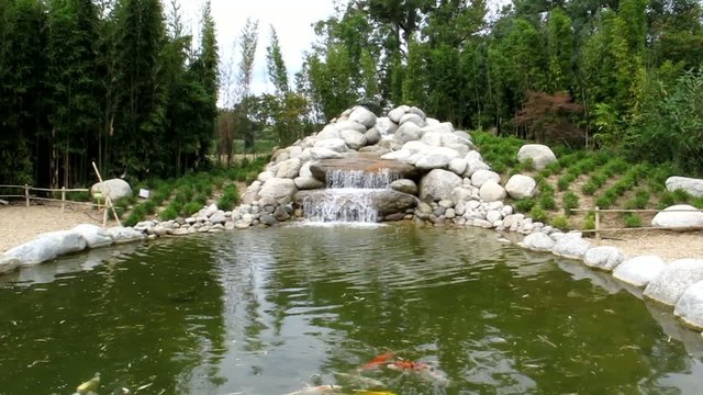 petite cascade sur bassin aquatique de jardin