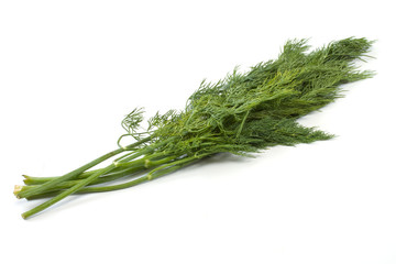 dill on white background