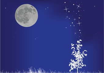 Obraz na płótnie Canvas small single tree under full moon