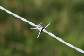 fil barbelé, barbed wire 3