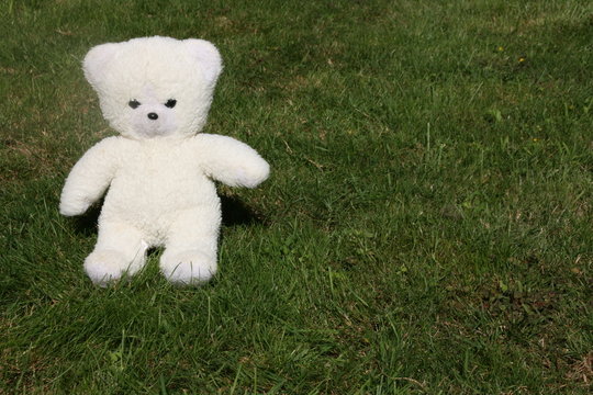 ourson et nounours de b&eacute;b&eacute;