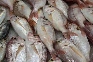 fischmarkt
