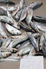 fischmarkt